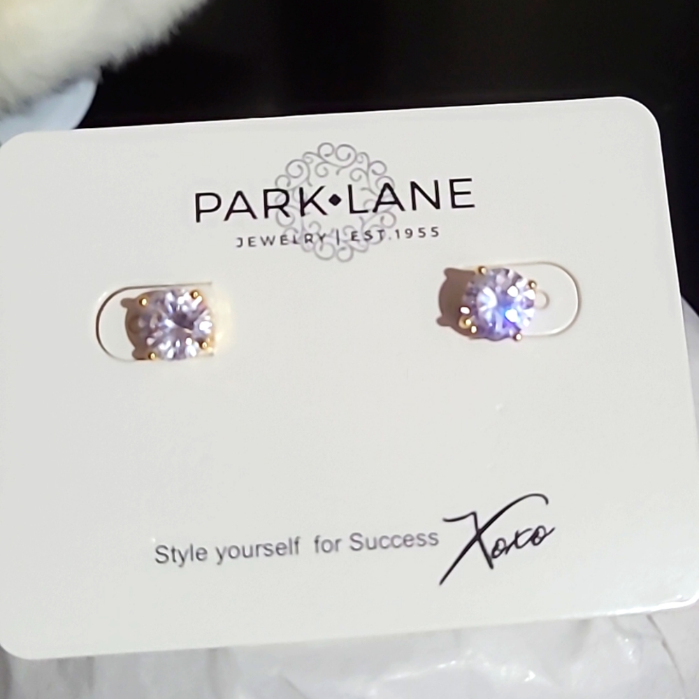 Park Lane Impressions earrings